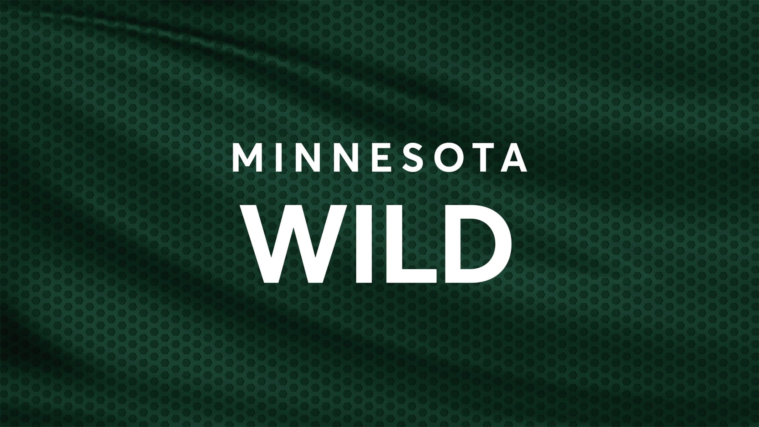 Minnesota Wild vs. Dallas Stars