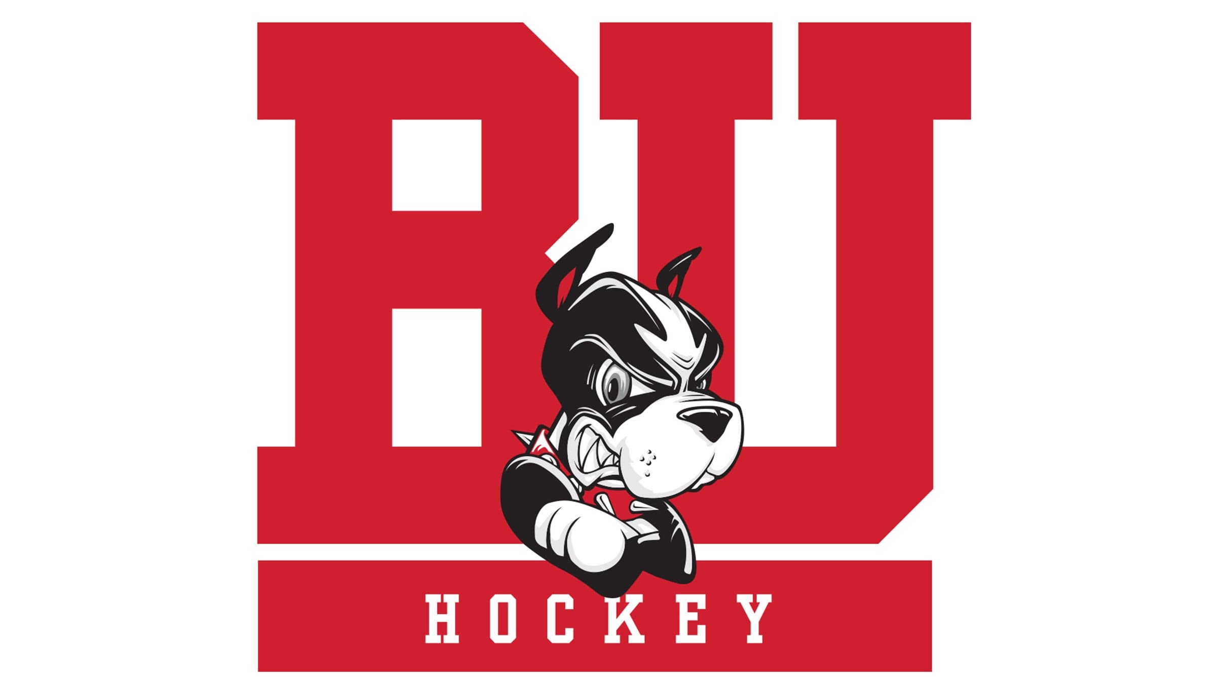 Boston University Womens Hockey v LIU Womens Hockey