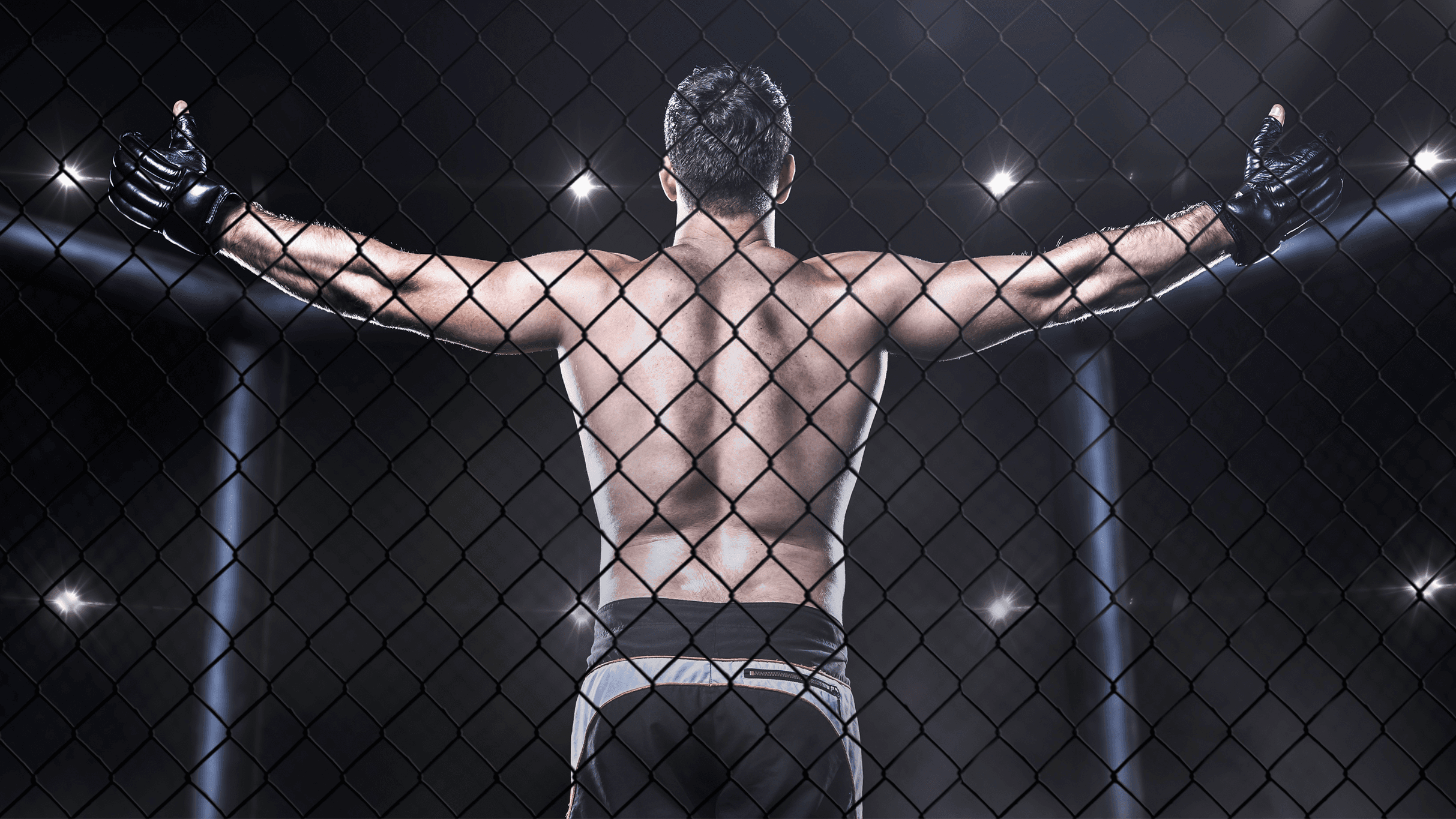 FAC MMA 36