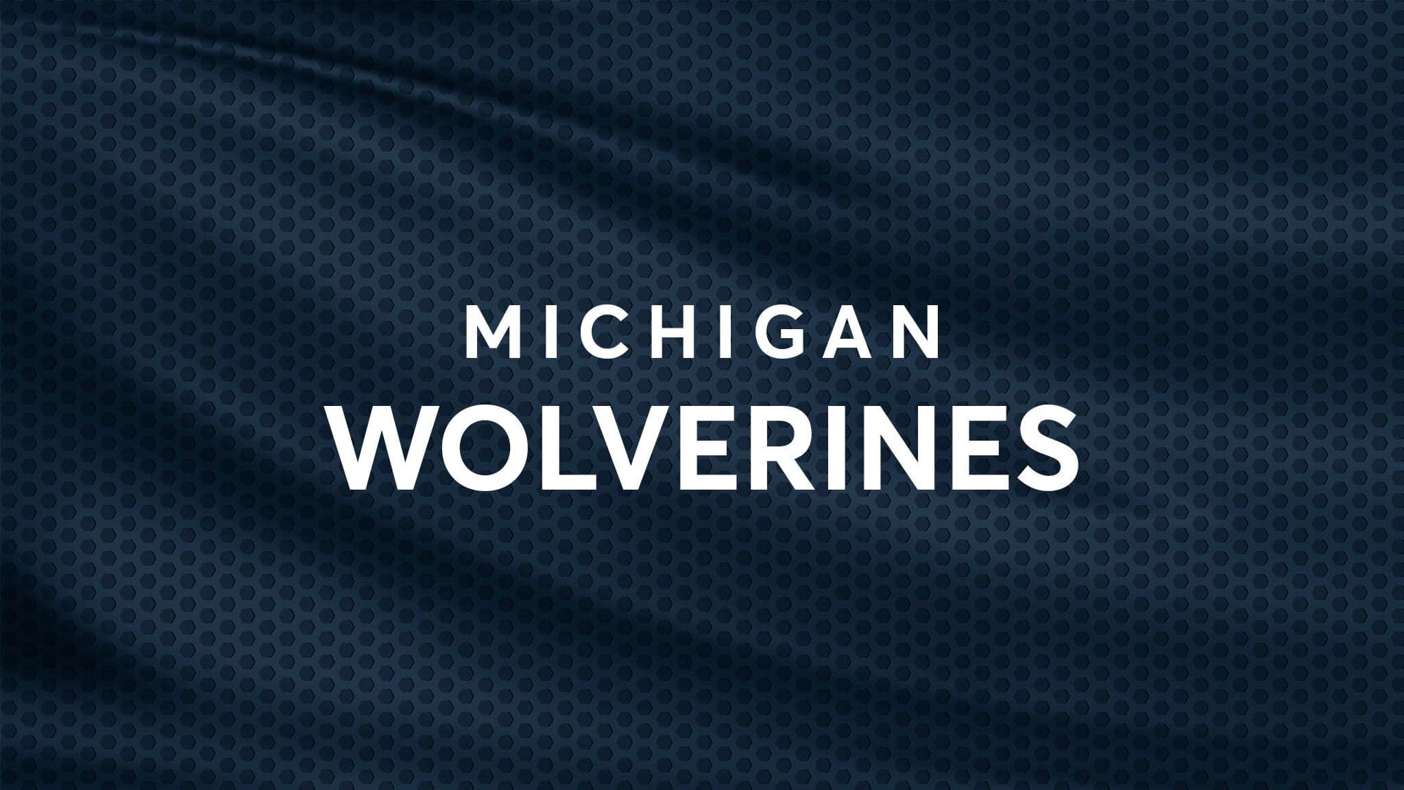 Michigan Wolverines Womens Volleyball vs. Washington Huskies Womens Volleyball