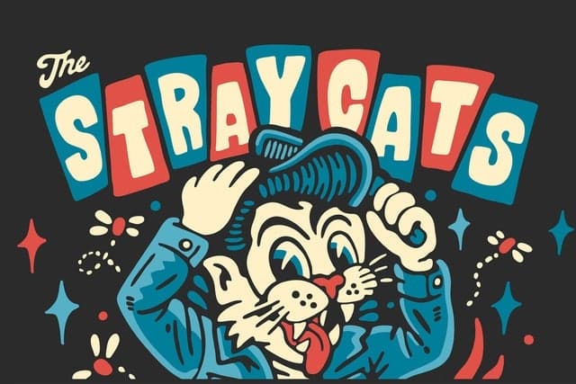 Stray Cats
