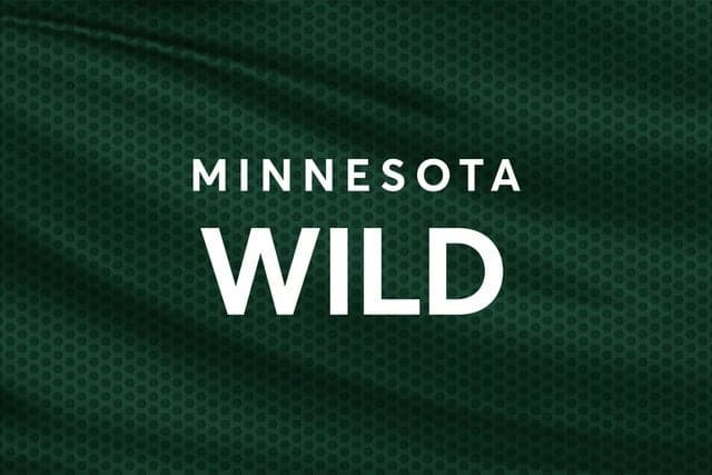 Minnesota Wild vs. Dallas Stars