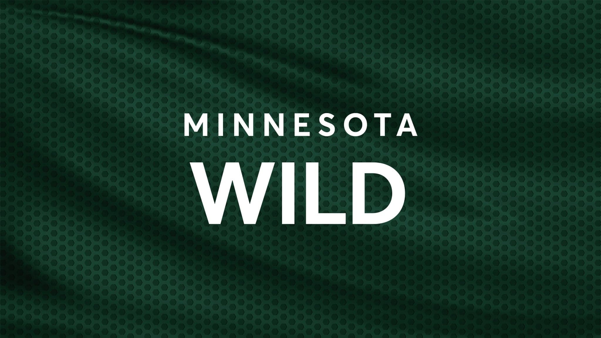 Minnesota Wild vs. Dallas Stars