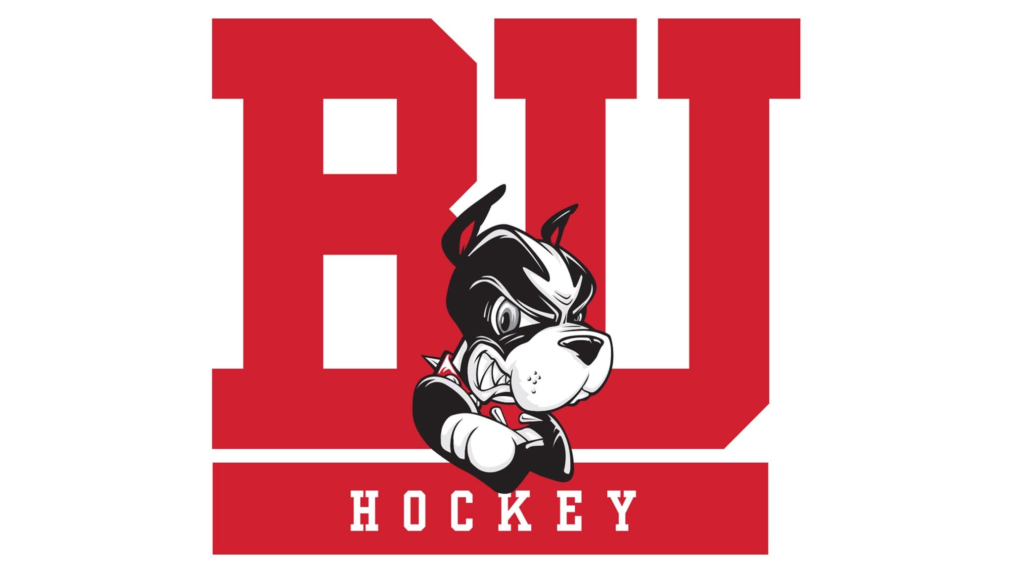 Boston University Womens Hockey v LIU Womens Hockey