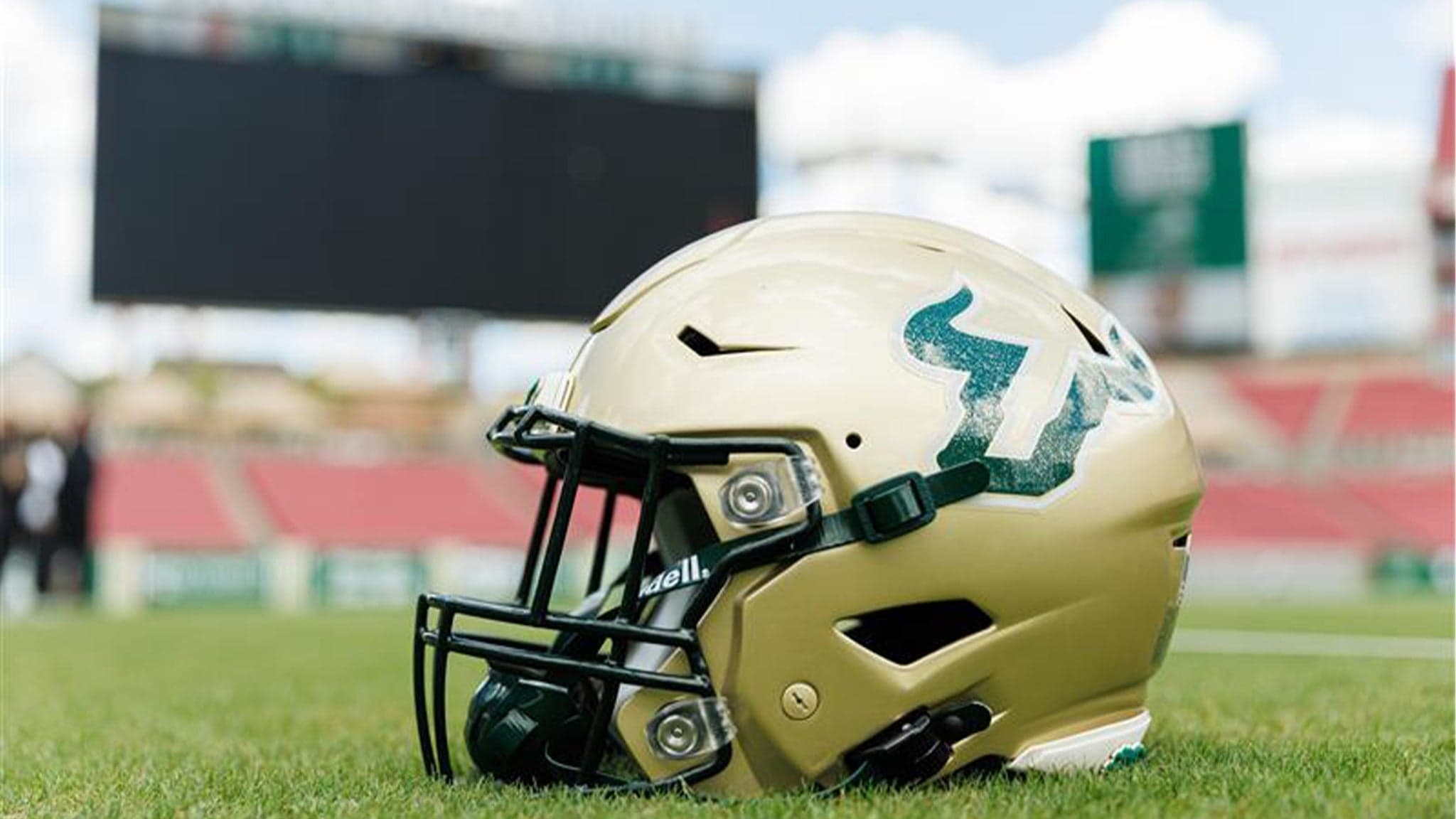 South Florida Bulls Football vs. Kent State University Golden Flashes Football