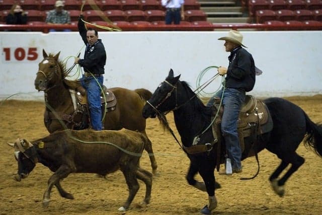 Stockyards Championship Rodeo